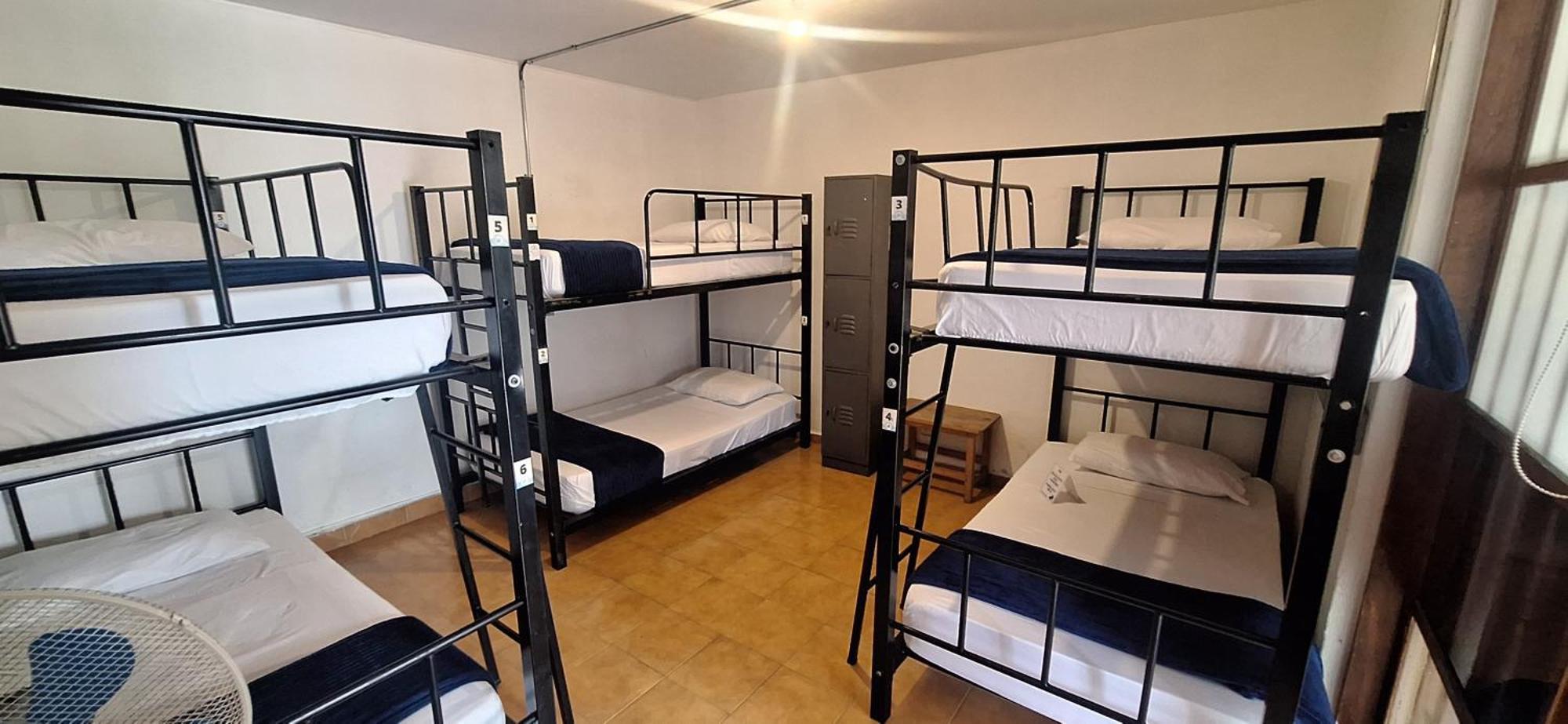 Yolo Hostel Medellin Ngoại thất bức ảnh