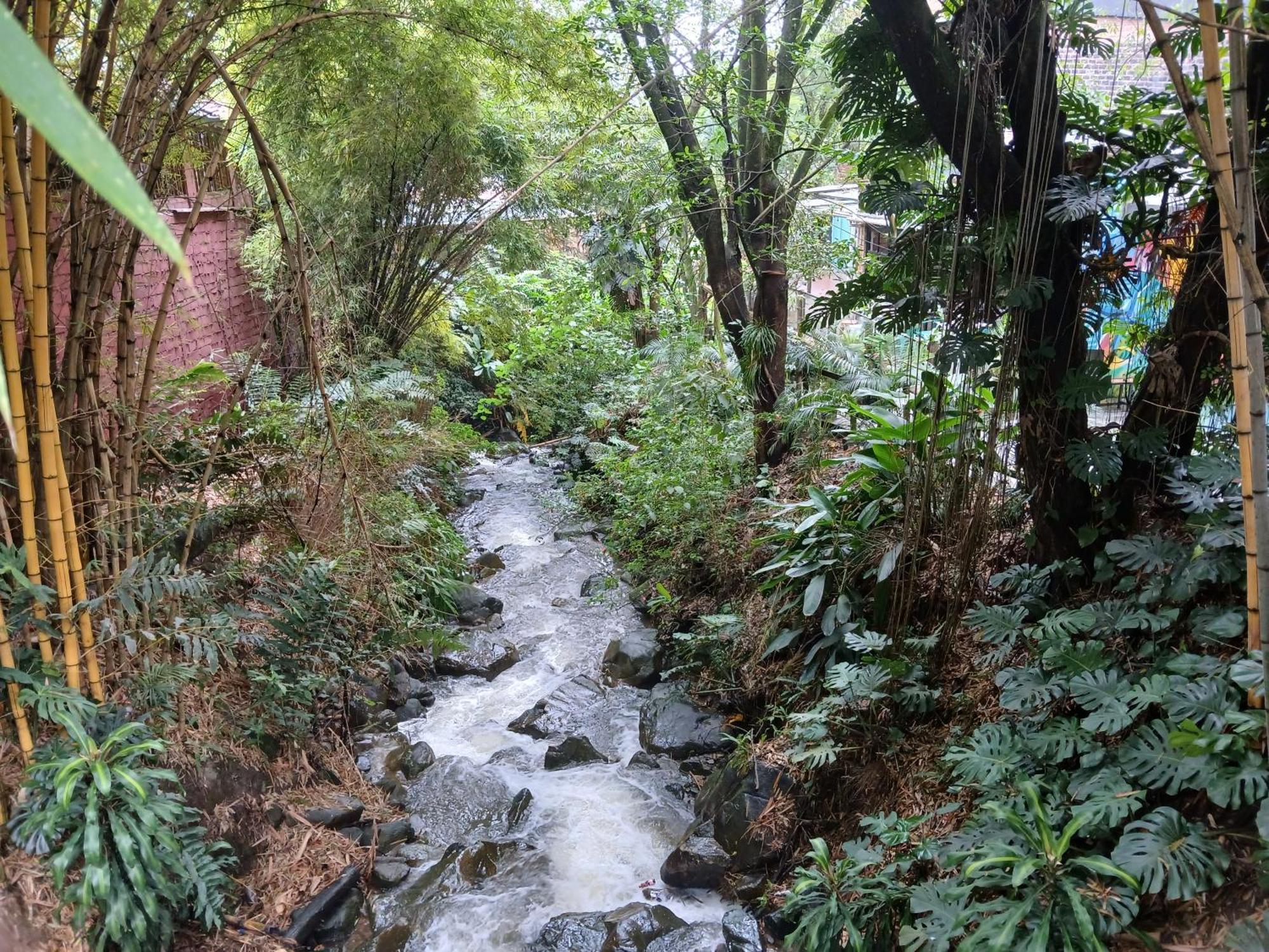 Yolo Hostel Medellin Ngoại thất bức ảnh